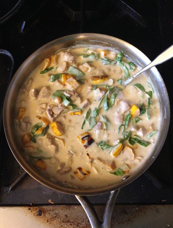 stovetop-chicken-stew-with-yogurt-and-delicata-squash