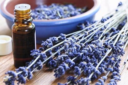Lavender essential oil can help prevent nightmares.